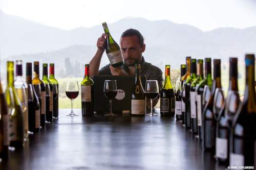 Wine Explorers